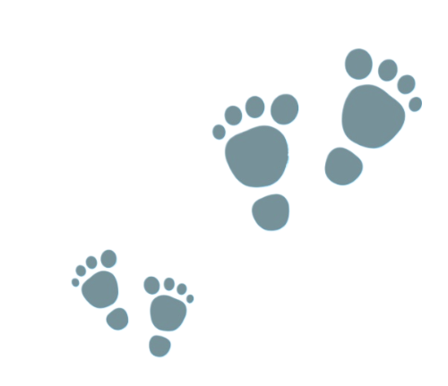 footprints